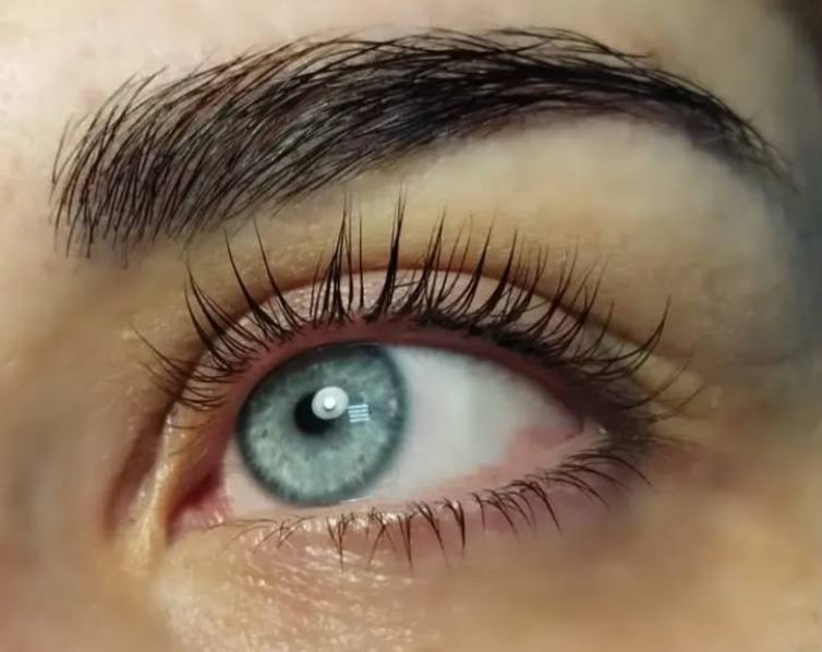 Брові та вії